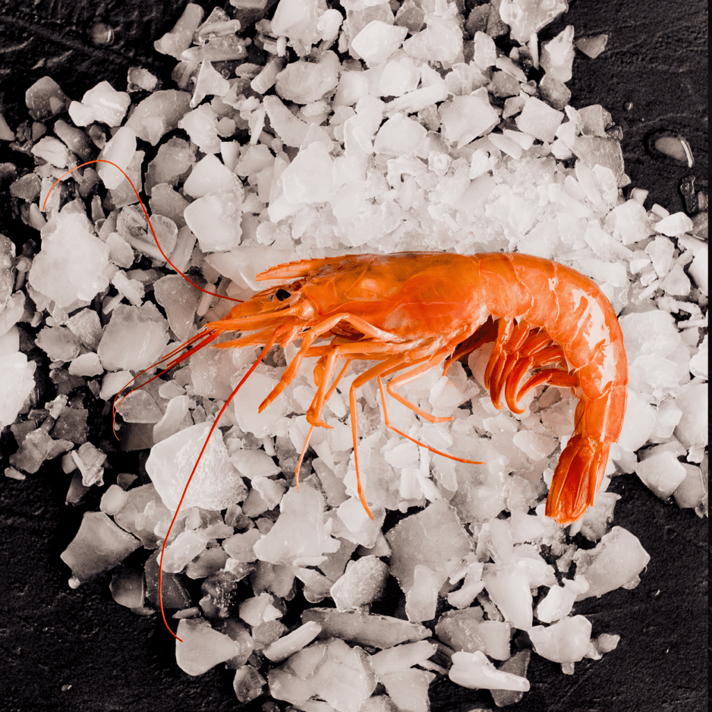 Argentinian shrimp Wofco Ltd