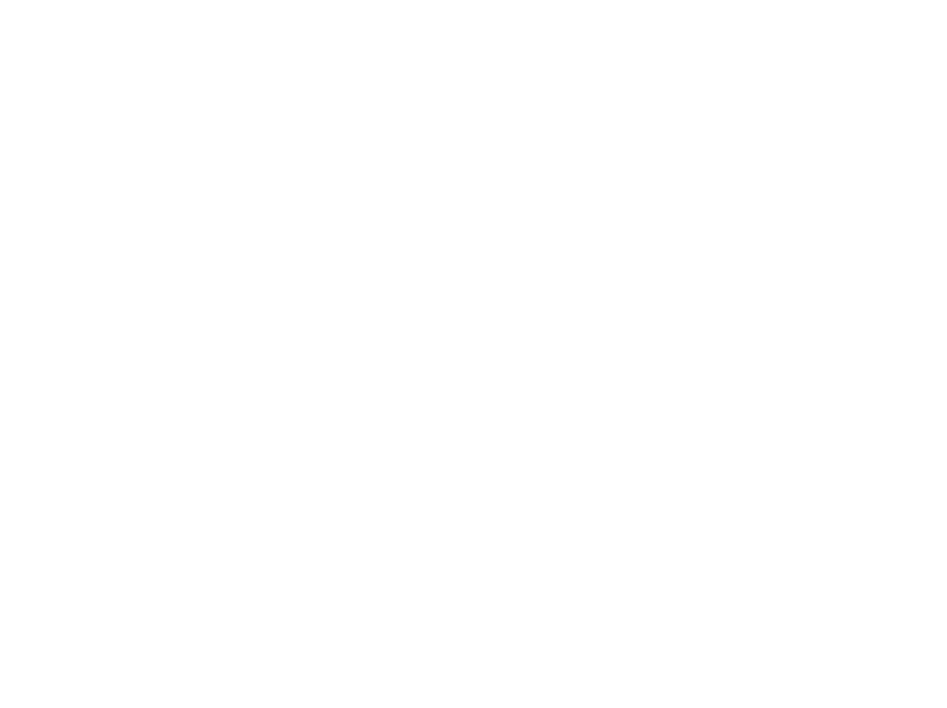 logo Vostoq