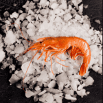 Foto producto langostino austral gambon Wofco